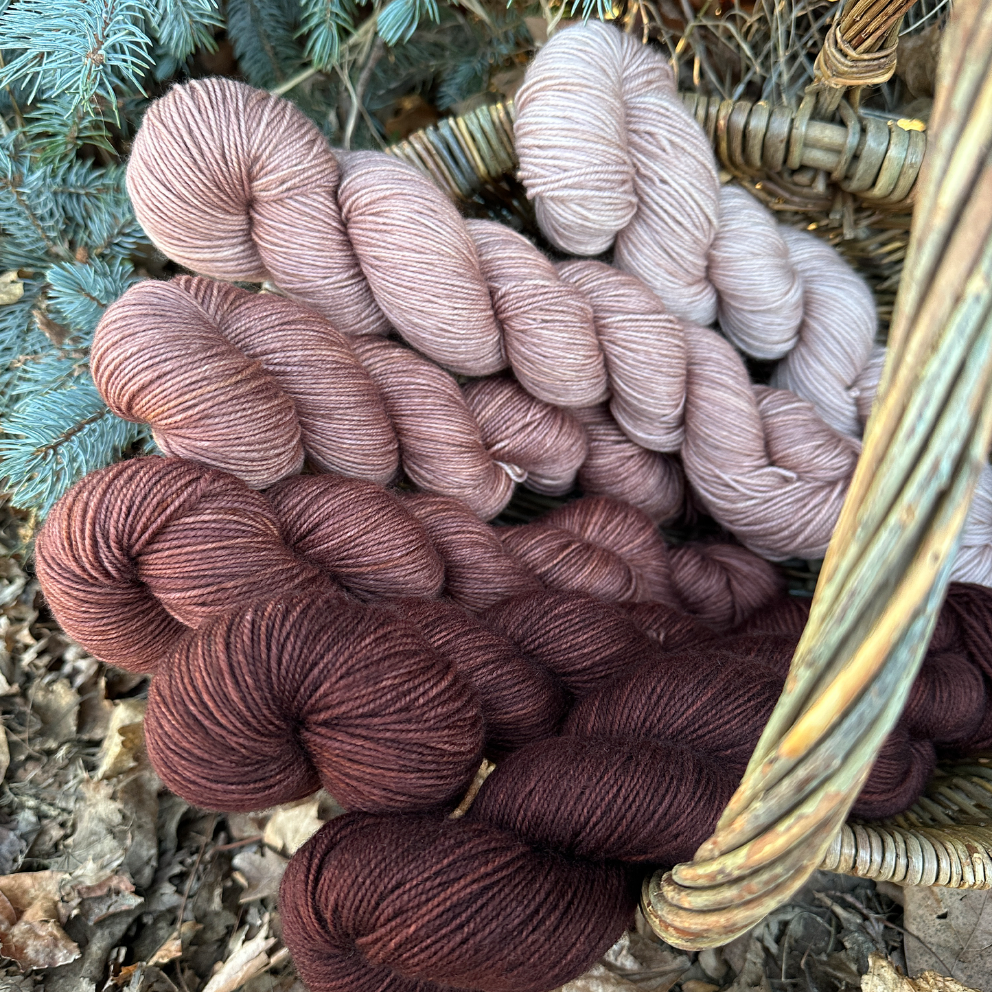 Chestnut Gradient Set