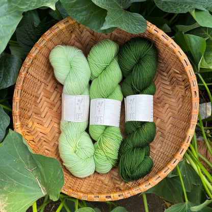 Sock Yarn Packs - 3 Skeins