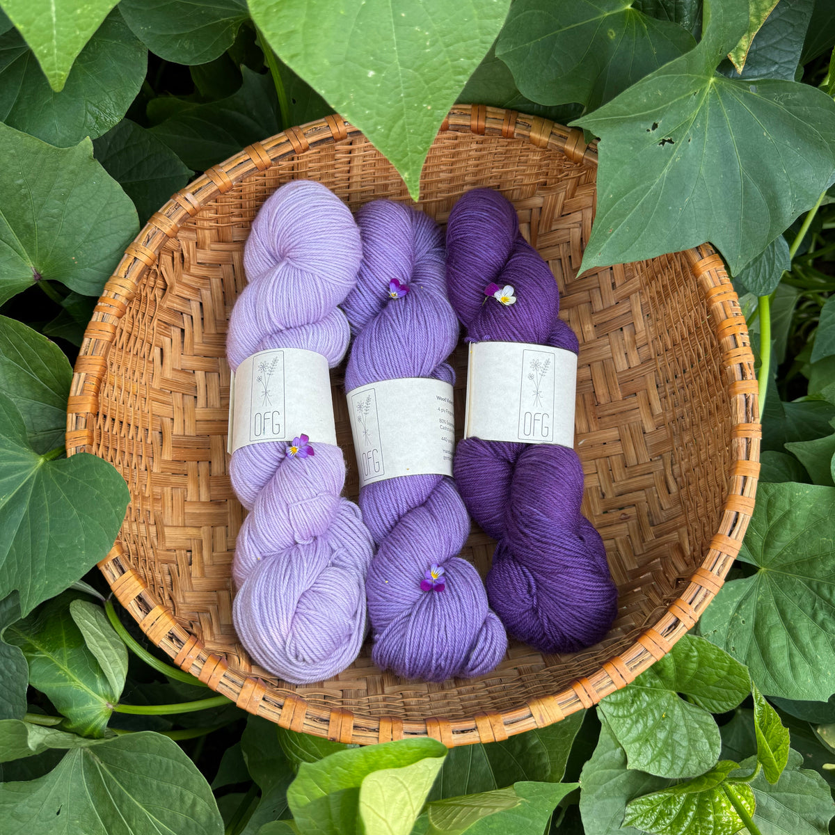 Sock Yarn Packs - 3 Skeins