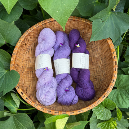 Sock Yarn Packs - 3 Skeins