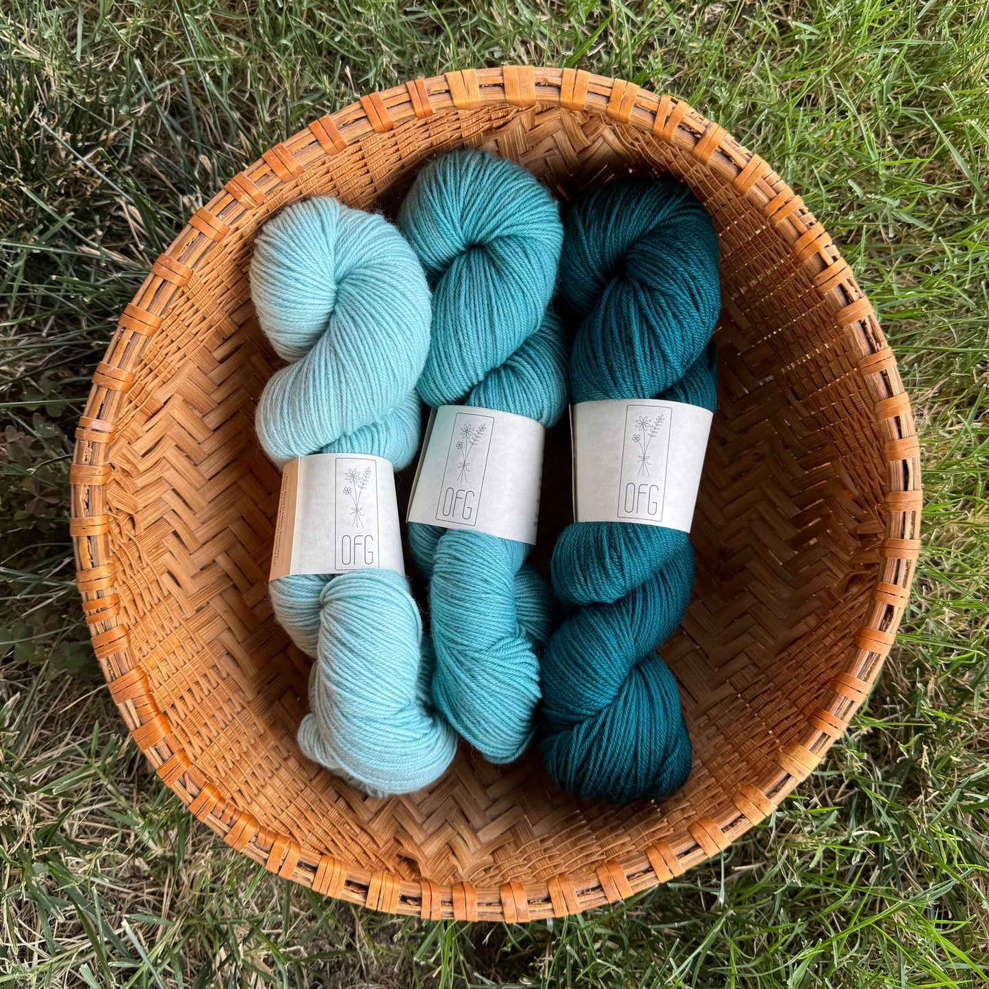 Sock Yarn Packs - 3 Skeins